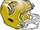 Sacramento Mountain Lions