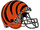 Cincinnati Bengals