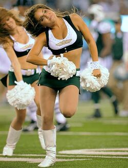 New York Jets Cheerleader & Fanbase Gallery