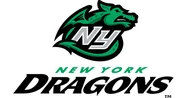 New York Dragons logo (2009, Unused)