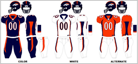 Fear the Orange! Broncos will wear Alternative Jersey twice in 2009 - Mile  High Report