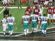 2009 Miami Dolphins team captains