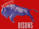BuffaloBisonsAAFC.gif