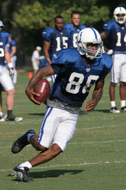 Marvin Harrison in 2007 Training Camp 2