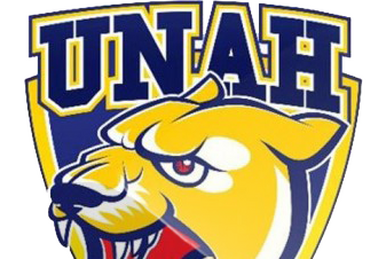Puma unah online