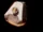 FAM 310 66.57 Popeye descent.png