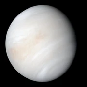 Venus (square)