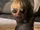 FAM 103 03.23 Tracy in the plane.png
