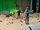 BTS S4 Mars set (3).jpg