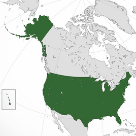 USA close 640x640