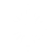 White-star-icon