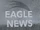 FAM 407 11.28 Eagle News nameplate.png