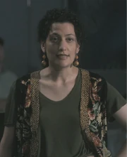 FAM 304 39.31 Helios Flight Controller