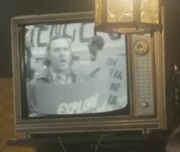 FAM 110 40.56 Protest Man