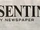 Houston Sentinel