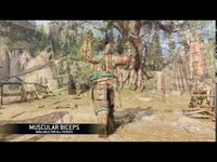 Muscular_Biceps