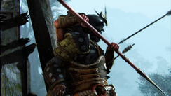 Reconnaissance - samurai make good shields for arrows