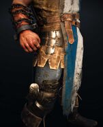 Fh hero-detail-conqueror-armor-1 ncsa (1)