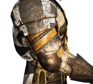 Warden right arm and shoulder