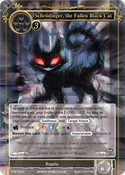 Schrödinger, the Fallen Black Cat