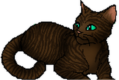 Lightningpelt, Warriors Wiki