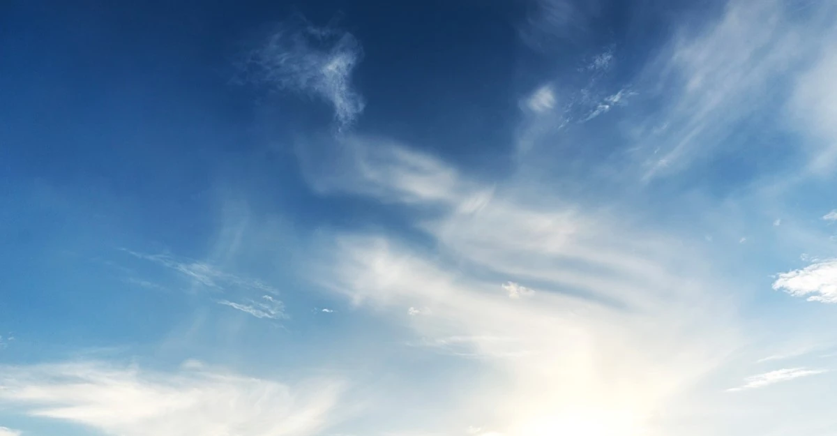 Breathing The Forest Wiki Fandom