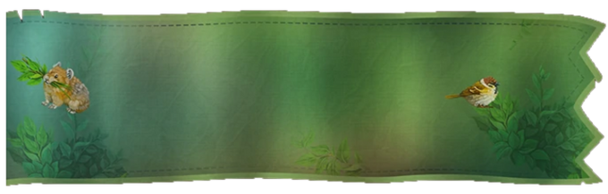 Wildlife Quests.png