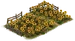 Sunflower Patch