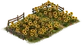Sunflower Patch