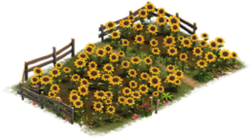 Diamond Art - Intermediate - Sunflower Field