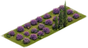 Lavender Lawn Variation 1