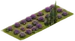 Lavender Lawn
