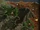 Northcastle