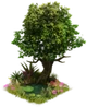 Tree of Vitality