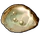 Oyster Ranch 3