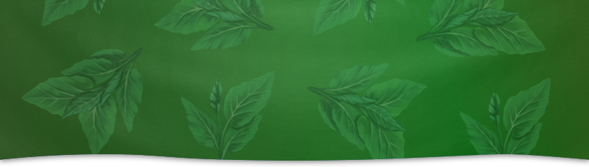 Wildlife Pass Banner