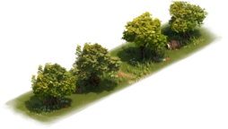 Olive Tree Path Variation 2