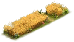 Wheat Path Variation 2