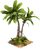 Palm Tree
