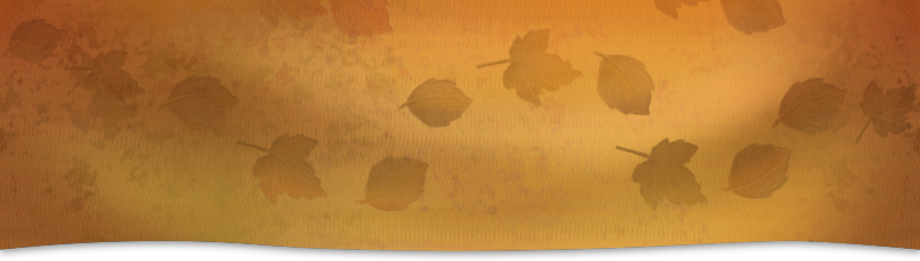 Fall pass banner