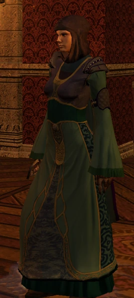 Enduring vestments | Forgotten Realms Wiki | Fandom