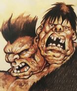 An aggravated ettin from AD&D Trading Cards.