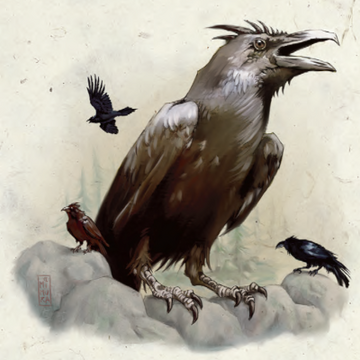 Raven large hot sale