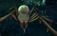 A deathjump spider from Dungeons & Dragons Online.