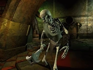 Skeleton planescape.jpg (190 KB) A skeleton from Sigil's Mortuary.