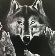 A pack of Barovian grey wolves.