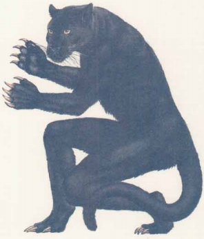 humanoid panther