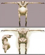 An ettercap, a concept art by John Dickenson.