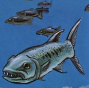 A barracuda from AD&D Trading Cards.