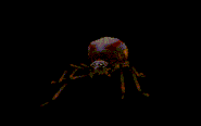 Spider undermountain.gif (51 KB) One of the giant spiders encountered during the descent to Undermountain.'